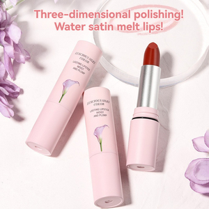 Lápiz labial es luz brillante y luz Otoño e invierno Vintage Terra Cotta rojo marrón lápiz labial hidratante - Product Image 4