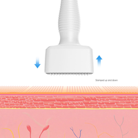 Prix d'usine Derma Adjustable Stamp Scalp Massager 140 Infusion System Rajeunissement de la peau et repulpeur de lèvres - Anti-rides