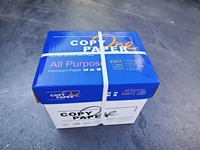 Papier Copie de Qualité Supérieure, 500 Feuilles, 80 g/m², Format A4, 100% Pâte de Bois Vierge, Blanc Naturel, Ramettes pour Imprimante et Copieur