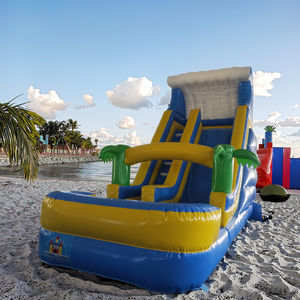 4 מ '* 6m * 5m pvc חומר חיצוני מתנפחים הטירה סגנון חדש קופצני קפיצה שקופית שקופיות מסחרי מתנפחים יבש שומר יבש לילדים - Product Image 5