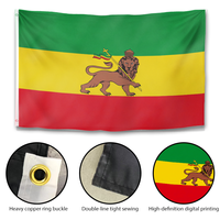 Drapeau personnalisé Rasta Lion en polyester, bannière extérieure verte, jaune, rouge, style éthiopien, drapeau mural avec œillets en laiton