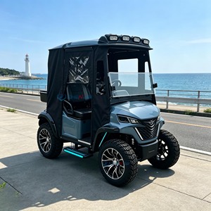 Light Blue Two‑seat Golf Cart With Black Enclosed Canopy New Design High Quality Affordable Price Electric Golf <b>Buggy</b> - Product Image 5