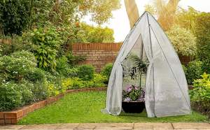 160x160x180cm Mini <span class=keywords><strong>serre</strong></span> moderne renforcé 135g/m2 couverture blanche Nature jardin <span class=keywords><strong>d</strong></span>'hiver extérieur <span class=keywords><strong>petite</strong></span> maison de culture pour tomates - Product Image 4