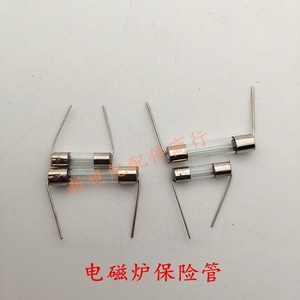 15A 250V Large Fuse Glass Tube Induction Cooker <b>Accessory</b> with Leads Electric Power Source Copper Coil Material for Cooking - Product Image 2