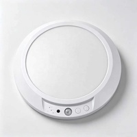 Lampe à détecteur de mouvement rechargeable sans fil avec télécommande, intensité réglable, 3 températures de couleur, minuterie d'arrêt automatique, fixation magnétique pour placard et garage