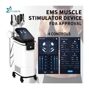 Máquina de Belleza 33 TESLA Ems, Estimulador Muscular, Eliminador de Celulitis por Radiofrecuencia, Adelgazante Corporal - Product Image 4