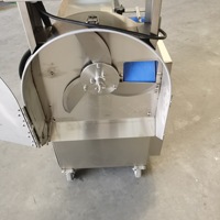 Industriële automatische snijmachine voor fruit- en groentechips van hoge kwaliteit, met beste prijs