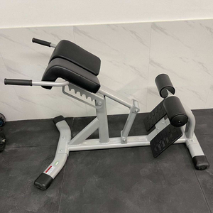 <span class=keywords><strong>Chaise</strong></span> romaine pliable réglable avec cadre métallique pour exercices de sit-up et extension du dos – Équipement professionnel d'entraînement de force - Product Image 4