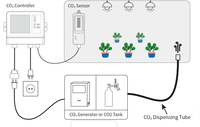Double capteur de CO2 Moniteur et contrôleur 0-10000 ppm avec capteur de CO2 auto-calibrant, contrôleur de CO2 pour champignons de serre