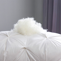 Couette de luxe certifiée OEKO-TEX 95% duvet d'oie, plissée, toutes saisons, blanche, insert de couette, literie d'hôtel, sur mesure, OEM, vente en gros