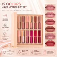 Ensemble de 12 rouges à lèvres hautement pigmentés, finis mats et brillants, kit de gloss pour un design personnalisé, offre en gros
