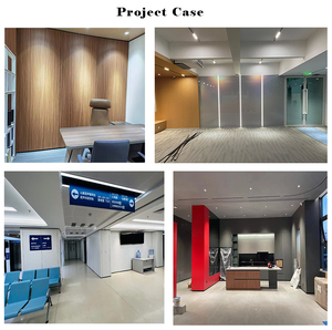 Sistema di Pareti Divisorie Modulari Acustiche in Legno e Acciaio per Ufficio, Scuola, Laboratorio e Magazzino con Pannelli Insonorizzati - Product Image 6