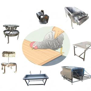 Machine automatique d'abattage, échaudage et plumeage de poulets (10-20 poulets par cycle) avec moteur et pompe 220/380/440V - Product Image 6