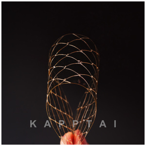 Feuilles de gélatine de peau de bovin 240 Bloom, qualité alimentaire, <span class=keywords><strong>halal</strong></span>, épaississants, 25 kg/sac - Product Image 3