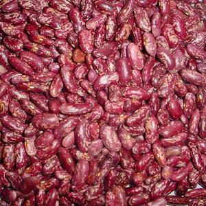 ถั่วไตสีแดงถั่วน้ำตาลแครนเบอร์รี่ถั่วไพน์อบแห้ง - Product Image 1