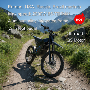 Motocicleta Todoterreno de Alta Calidad de Fábrica, con Certificación CE DOT, 1500W 2000W, 65Km/h, 60V, Modelo MX10 para Niños - Product Image 1