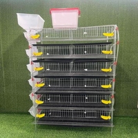 Cage d'élevage de cailles multicouche en treillis galvanisé avec alimentation et abreuvement automatiques – Équipement d'élevage de volailles et de cailles