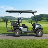 Voiturette de golf électrique 3-4 places à forte capacité de montée, buggy routier, contrôleur intelligent, vitesse 30-50 km/h, autonomie 90 km, pente de 25 degrés