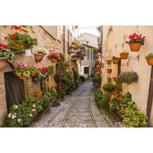 Fond <span class=keywords><strong>de</strong></span> <span class=keywords><strong>photographie</strong></span> antique européen : Allée, village, couloir fleuri, <span class=keywords><strong>maison</strong></span>, voyage, portrait, toile <span class=keywords><strong>de</strong></span> fond pour photocall - Product Image 5
