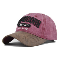 Nueva Gorra de Béisbol de Lona de 5 Paneles, Calidad Original, Visera Curva, Cierre a Presión, Transpirable, Impermeable, Unisex