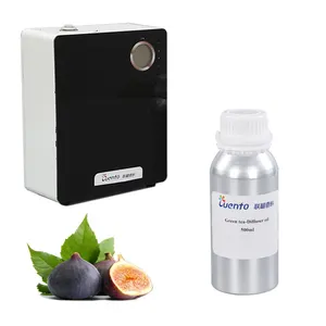 Popular diffuser aroma fresh flavor fragrance high quality essence Gig perfume oil for reed diffuser , diffuser machine