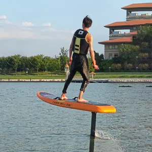 Kohle faser 8KW anpassbare zusätzliche Batterie e Folie Efoil Electric Surf board Tragflügel boot für Efoil