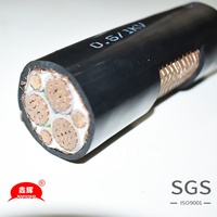 Basse tension souterraine 1kv Xlpe 3 Core 10mm 16mm 30mm blindé câble d'alimentation en cuivre électrique blindé