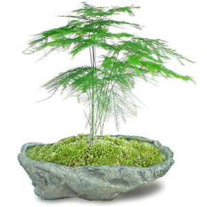 Nuovo Design OEM Bulk Nordic Mini <span class=keywords><strong>balcone</strong></span> cemento cemento succulente verde decorativo vaso <span class=keywords><strong>da</strong></span> esterno Stand per pianta - Product Image 4