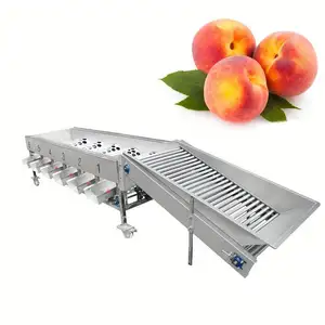 Kirschtomaten-Sortiermaschine Walzenfrucht-Sortiermaschine Obstgrößen-Sortiermaschine