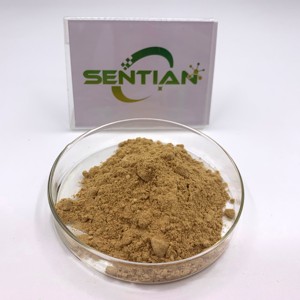 ผงโพลีเปปไทด์สกัดจากแตงกวาทะเลแบบผงสารสกัดจากปลิงทะเล - Product Image 2