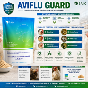 Saik Aviflu Guard Premix: Allevia i <span class=keywords><strong>Sintomi</strong></span> Respiratori, Supporta il Recupero da <span class=keywords><strong>Malattie</strong></span> Virali, Rafforza l'Immunità e la Vitalità - Product Image 2