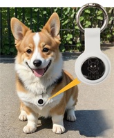 Dispositif anti-perte pour animaux de compagnie Technologie avancée Traceur intelligent pour animaux de compagnie Personnalisé Extérieur Fiable Traceur pour animaux Traceur pour chiens