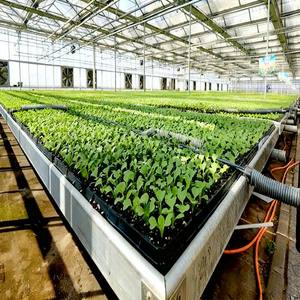 Material Resistente a Impactos y con Protección UV – Ideal para Agricultura Ecológica, Laboratorios de Investigación y Producción de Cultivos Especializados - Product Image 6