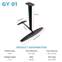 Hydrofoil GY 01 Carbon Lengkap untuk Berlayar di Perairan Terbatas, Wing Foil Surf Pump, Kontrol Mudah, Performa Tinggi, Tahan Air