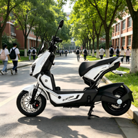Vélo électrique (EBIKE) 48V 800W avec moteur à moyeu arrière, 3 vitesses, sans balais, cadre en acier, batterie lithium-ion tendance