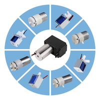 Pompe à vide conforme aux normes internationales DC6V~24V, personnalisable OEM, pompe à air à pression négative fiable, pompe à piston résistante à l'usure