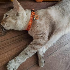 Confezione da 2 pezzi con colletto di Halloween Design con zucca e fascino fantasma arancione e nero per la sicurezza degli animali domestici - Product Image 6