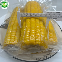 Maïs doux en gros, sain et prêt à consommer, en épi, à manger directement, emballage sous vide en vrac