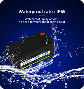 Venta Directa de Fábrica, Batería Marina de Ciclo Profundo de 24v 100ah, Paquete de Baterías Lifepo4 de 24v 100ah con Control por Aplicación - Product Image 3