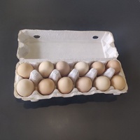 <strong>Best</strong> <strong>Selling</strong> <strong>Egg</strong> Trays 12 Chicken <strong>Eggs</strong> Box Paper Pulp 2 X 6 <strong>Egg</strong> <strong>Carton</strong>