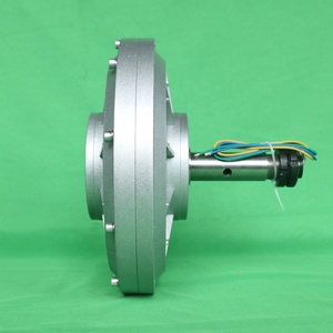 Generador de energía libre de imanes permanentes (PMG) sin núcleo, alternador DIY de 60W 200RPM 12V 24V, adecuado para motor de bomba de agua - Product Image 4