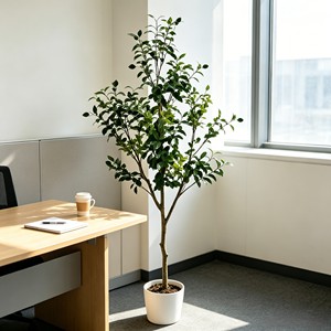Planta Ornamental de Olivo en Maceta Realista, Árbol de Olivo Artificial en Maceta Blanca para Decoración del Hogar - Product Image 4