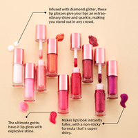 OEM 6 Couleurs Marque Privée Bio Brillant Nude Nacré Mini Gloss à Lèvres