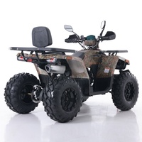 Tao Motor 2024 Nouveau Quad ATV Chinois Économique pour Ferme, Entraînement Automatique par Chaîne, 200cc