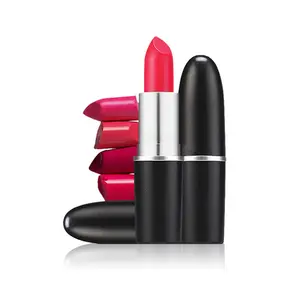 12 kleuren lipstick bullet lipstick Kleur make-up lipstick