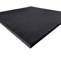 FitFirst Premium Gummi-Fitnessbodenplatten mit Stoßdämpfung & Lärmreduzierung Anpassbare Mehrfarbige ODM/OEM 1m X 1m X 15mm
