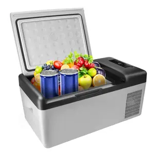 経済的なカスタムデザイン15L小型冷蔵庫ミニカー冷蔵庫コンプレッサーキャンプ屋外冷凍庫カー冷蔵庫