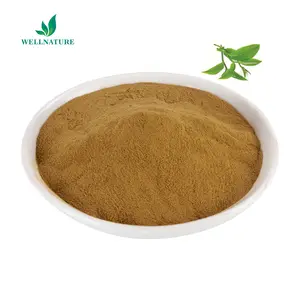 Tea Extract Catechins Powder 80% Tea Polyphenols Catechin Extract Hot Selling Green White Powder Leaf Cool Dry Place 1kg 2 Years