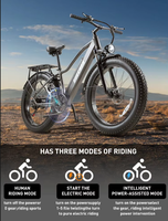 Vélo de montagne électrique Burchda Rx20 48V 26 pouces avec pneus larges, cadre en alliage d'aluminium, batterie au lithium, offre spéciale transfrontalière
