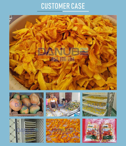 Four séchoir à pompe à chaleur automatique OEM vente à chaud sécurité pitaya séchoir traitement des fruits - Product Image 6